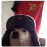 Lord Dragón's profile picture