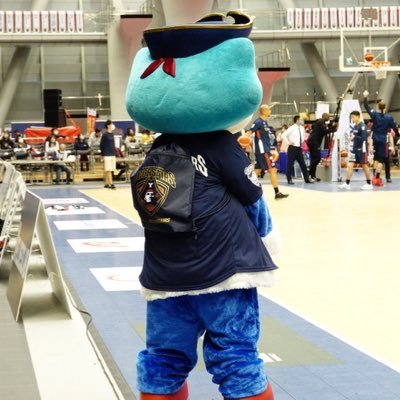 もがちゃん🏀ビーコル's profile picture