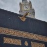 ••Eng: Sinan Al-Sinani •• 🇵🇸 的头像
