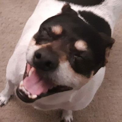 xProdz_'s profile picture
