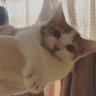 よね 的头像