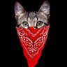 Αθανασία Χριστοδούλου⭕🔴's profile picture