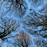 Фото профиля Robert Banks
