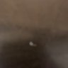 Abcdefgh555 的头像