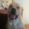 Profilbild von Grayboy45