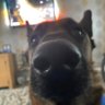 Profilbild von Col