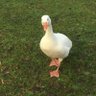 Profilbild von pat