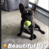 kimbo's profile picture