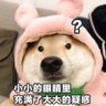 ocean's profile picture