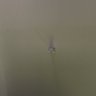 James Magallanes's profile picture
