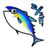 ほんまぐろ's profile picture