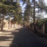 Фото профиля Ahmet