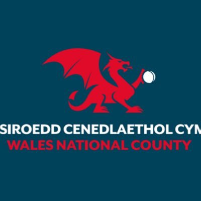 Wales National County 🏴🏏's profile picture