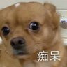 世事's profile picture