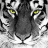 LUIS's profile picture
