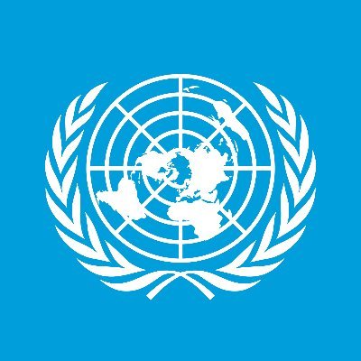 UnitedNationsRU's profile picture