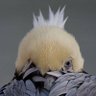 Profilbild von carglo