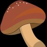 しーたけ's profile picture