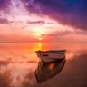 Suara Senja 的头像