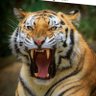 Toni's profile picture