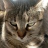 pacoco's profile picture