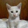 min2 profil fotoğrafı