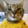 Fixr's profile picture