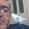 Vedat Soybay's profile picture
