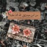 Profilbild von Mohamed Elseedy