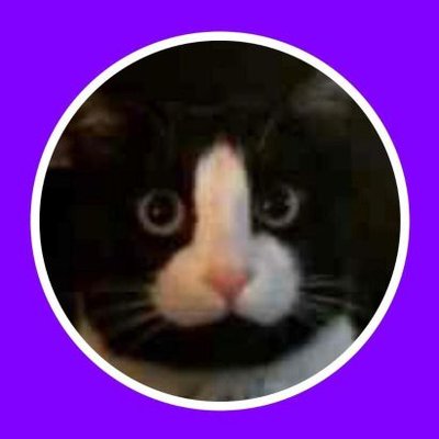 Ryan_Sun1069's profile picture