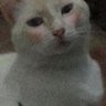 Jα𝑦's profile picture