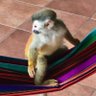 HoosCamsDad's profile picture