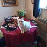 Debbie profil fotoğrafı