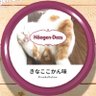 𓆩ぴまめ𓆪(煮豆Z)'s profile picture
