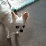 クッキー母さん's profile picture