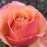 Фото профиля Virrapp