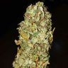 Фото профиля Marihuano