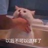 Profilbild von JellybeanAsh