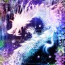 toshi's profile picture