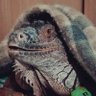 Фото профиля Funkysaurus