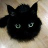 朋 profil fotoğrafı