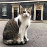 Parky.'s profile picture