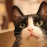 ひろこ profil fotoğrafı