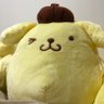 おうじ🍮 profil fotoğrafı