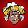 Profilbild von Vell’s World Podcast