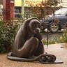 Juan Quer profil fotoğrafı