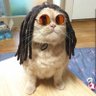 LItTle BiG MAn's profile picture