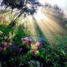 Фото профиля ياسـ ـر