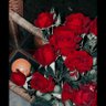 Фото профиля الـجمـيلـه❤️