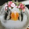 Фото профиля V🐦Walker